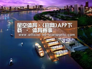 案例展示八