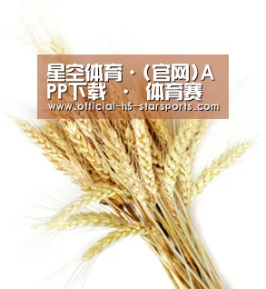 星空体育·(官网)APP下载 · 体育赛事