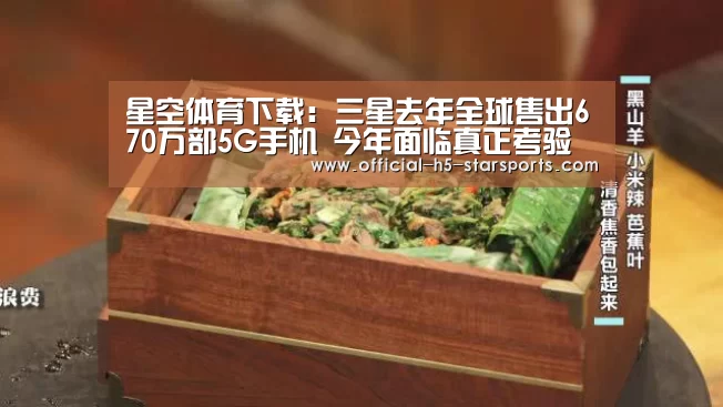 星空体育下载:三星去年全球售出670万部5G手机 今年面临真正考验(图2) 星空体育