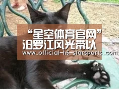 星空体育官网