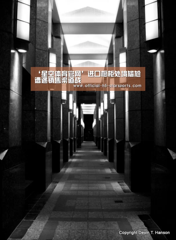 星空体育下载