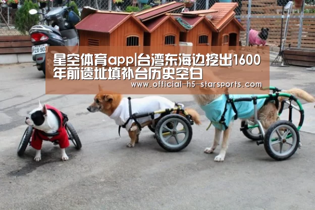 星空体育app|台湾东海边挖出1600年前遗址填补台历史空白